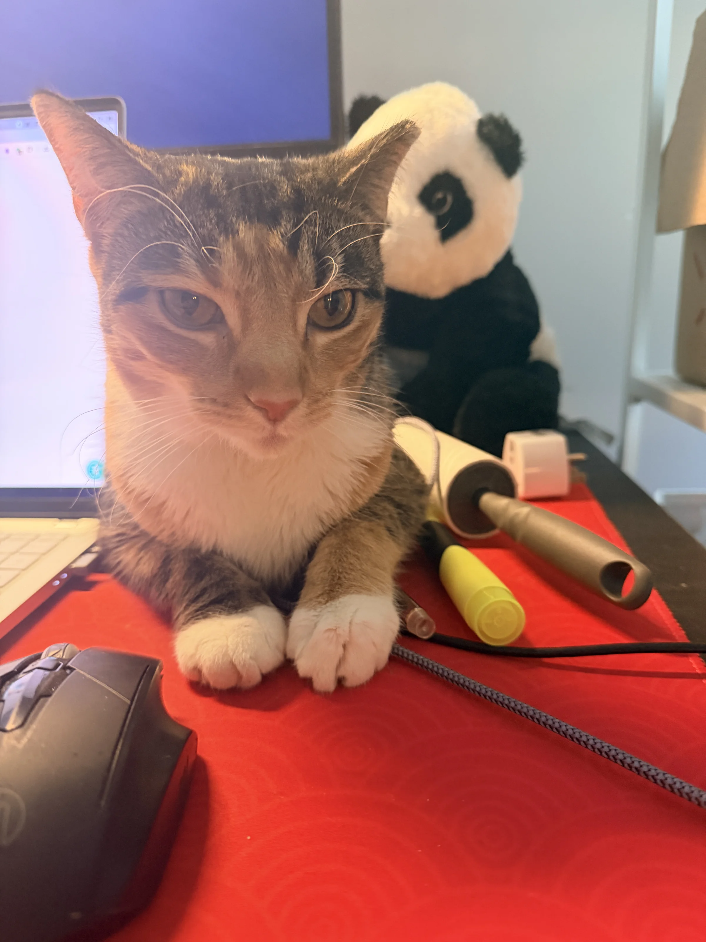 Jianmao Xiao's first sight